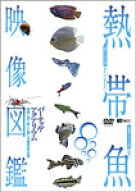 【送料無料】熱帯魚映像図鑑 バーチャル・アクアリウム 映像と音で愉しむ美しき熱帯魚の世界/教養[DVD]【…