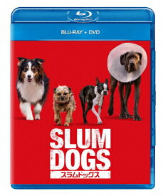 【送料無料】スラムドッグス ブルーレイ+DVD/ウィル・フォーテ[Blu-ray]【返品種別A】