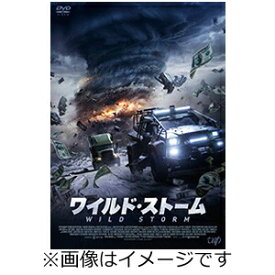 【送料無料】ワイルド・ストーム/トビー・ケベル[DVD]【返品種別A】