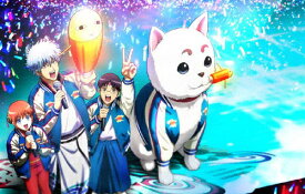 【送料無料】銀魂 後祭り2023(仮)/イベント[DVD]【返品種別A】