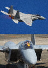 F-15 イーグル・デモフライト・スペシャル Vol.4/ミリタリー[DVD]【返品種別A】