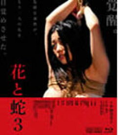 いろいろ 小向美奈子 壁紙 いろいろ 小向美奈子 壁紙