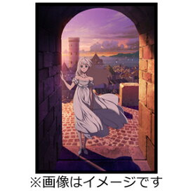 【送料無料】海賊王女 Blu-ray BOX 上巻/アニメーション[Blu-ray]【返品種別A】