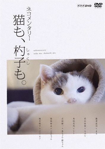 【送料無料】ネコメンタリー 猫も、杓子も。/ドキュメント[DVD]【返品種別A】 | Joshin web CD／DVD楽天市場店