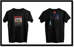 yzObYCOItBVEbNohTVcuMR.BIG THE BIG FINISH LIVE T-SHIRT (ERIC MARTIN)vy4XLTCYz/MR.BIG[ETC]yԕiBz