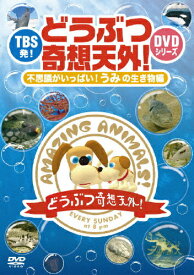 楽天市場 動物奇想天外 Dvdの通販