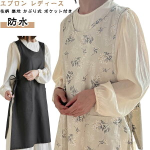 fB[X ԕ Vv Gv s[X n Ԃ邾  Gv TCh{ hXGv Gv  KB JtF T et ۈm