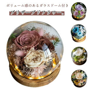 vU[uht[ KXh[ ouh[ ͂Ȃ hV̓ t[Mtg  c a  v[g Mtg t[AW j LO  Fl d Ԃ 