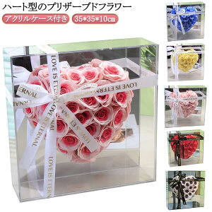 vU[uht[ o n[g^ ANP[X AW t[ t[Mtg ͂Ȃ hV̓ v[g  Mtg {bNXt[  j LO j 