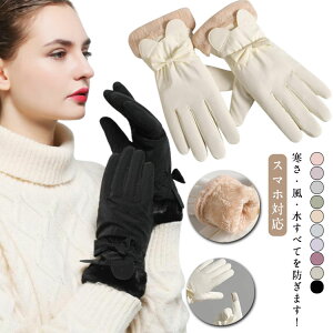  N X}zΉ fB[X  h h h ~ EB^[X|[c MU[ Iׂ2^Cv  AEghA  XL[ { ] ۉ J ʋ ʊw