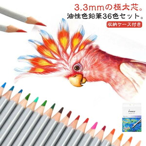 [P[Xt FM 36F Zbg 3.3mm ɑc  q w w G hG l ރZbg G  v[g Mtg `₷ Fǂ wj  [ A[g