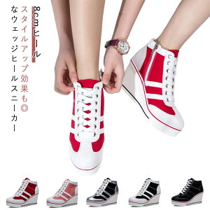 JWA EFbWq[Xj[J[ TChWbv 8cmq[ [XAbv V[Y  wL Xj[J[  ꂢ EFbWq[Xj[J[ zF ؂ւ oCJ[ 