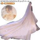 ウエディングベール ロング キラキラ ラメ入り 3M ウェディング ベール ロングベール 2層 ダウン可能 輝く 高級感 透…
