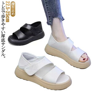 ~ EH[LOV[Y T_ 2way ʋ  T_ ʊw r s ʋC 5cmq[ ėp Od T_ }WbNe[v JWA s fB[X