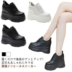 fB[X V[Y Cq[Xj[J[ 11cmq[  gup [XAbv Cq[  [Jbg C Vv Xj[J[ r ׌ ₷ Ȃ   ub