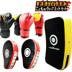 子供用 ボクシング グローブ 2組 湾曲型 ミット 兄弟 セット キック ミット 親子 セット キッズ パンチング 格闘技 トレーニング 戦いごっこ 運動不足 ストレス解消 体力づくり 遊び 誕生日 プレゼント 児童 健康 運動 男の子 ジュニア 小学生 幼稚園児 全国送料無料