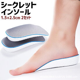 シークレットインソール 中敷き シューズ 靴 身長アップ 1.5cm + 2.5cm 2サイズ セット ハーフサイズ シークレット インソール 男女兼用
