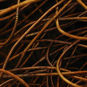 p[p[ Pearl Purl BrownGold 2mJbg