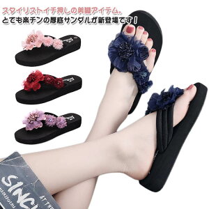 r[`T_ T_ fB[X  gOT_  ][g ₷ ~ y 3cm 6cm rT_ ~[T_ C t[fUC ꂢ 킢 Rt