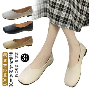 XNGAgD pvX 2WAY tbgV[Y y _炩f fB[X RtH[gV[Y  wlC ɂ [q[ ₷ JWAV[Y y ʋ ʊw 