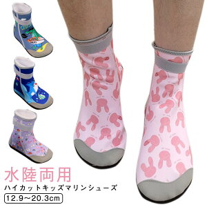 nCJbg ANAV[Y LbY }V[Y p q r[`V[Y \bNX ̎q j̎q   _CrO Vm[PO ~  tBbglX W K 