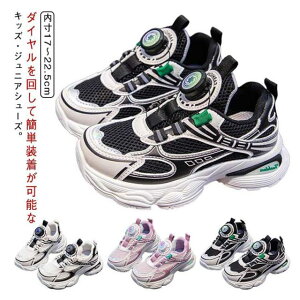 LbYXj[J[ RȂ q LbY WjA _C V[Y j̎q ̎q qǂp ǂ C _C ^C ʉ ʊw ₷ ~ y ȒP  w 