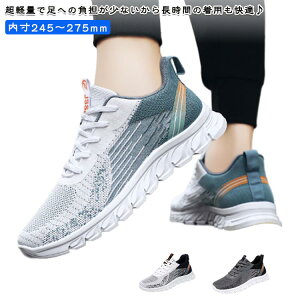 jOV[Y EH[LOV[Y Xj[J[ Y C L y Ȃ  V[Y X|[cV[Y ^C WMOV[Y bVXj[J[ y ʋC 傫