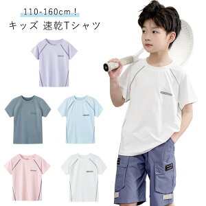 TVc 2Zbg j̎q q ̎q qǂ  TVc X|[ctVc ڐG⊴ z hCTVc eBVc  UVJbg  ėp 120 Ci[  WjA K ̑ 1