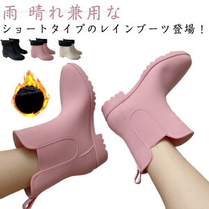 JC lC fB[X yzTChSA ₷ V[g  h CV[Y C CV[Y V[g C  H~ ₷ Cu[c fB[X  