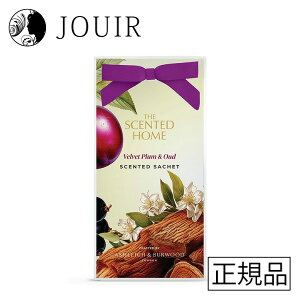 yyjc ܂ƂߔzAVCo[Ebh TVF xxbgv&E[h XSHSS25 ʌ