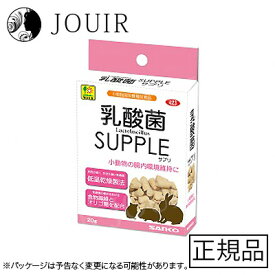 【土日祝も営業 まとめ買いがお得】乳酸菌 サプリ 20g