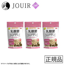 【土日祝も営業 まとめ買いがお得】3個セット 乳酸菌 サプリ(お徳用) 100g
