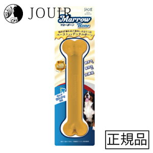 yAEgbg^󂠂zX|[}[{[i`[Yt[o[jW{(ܖ 2024N4)