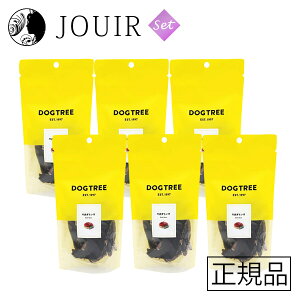 yAEgbg^󂠂zDOGTREE 炢 40g 6Zbg(ܖ 2025N7)