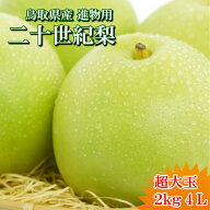二十世紀梨 20世紀梨 鳥取県 東郷 赤秀 2kg 4L(5玉） 送料無料 超大玉 贈答用 進物用 果物 お取り寄せ