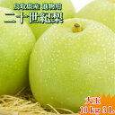 二十世紀梨 20世紀梨 鳥取県 東郷 赤秀 10kg 3L(24~28玉） 送料無料 大玉 贈答用 進物用 果物 お取り寄せ