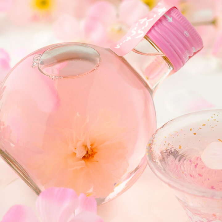 楽天市場 桜花入り リキュール さくらさらさら 丸瓶 箱入り 180ml 酒食材基地プラットダルジャン