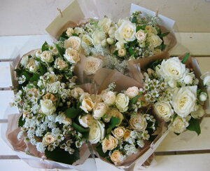 ~ju[PyċG͑CKpOE\ sAm oG ̎q   Ӊ   j yY  gXu[P o ~jo` z