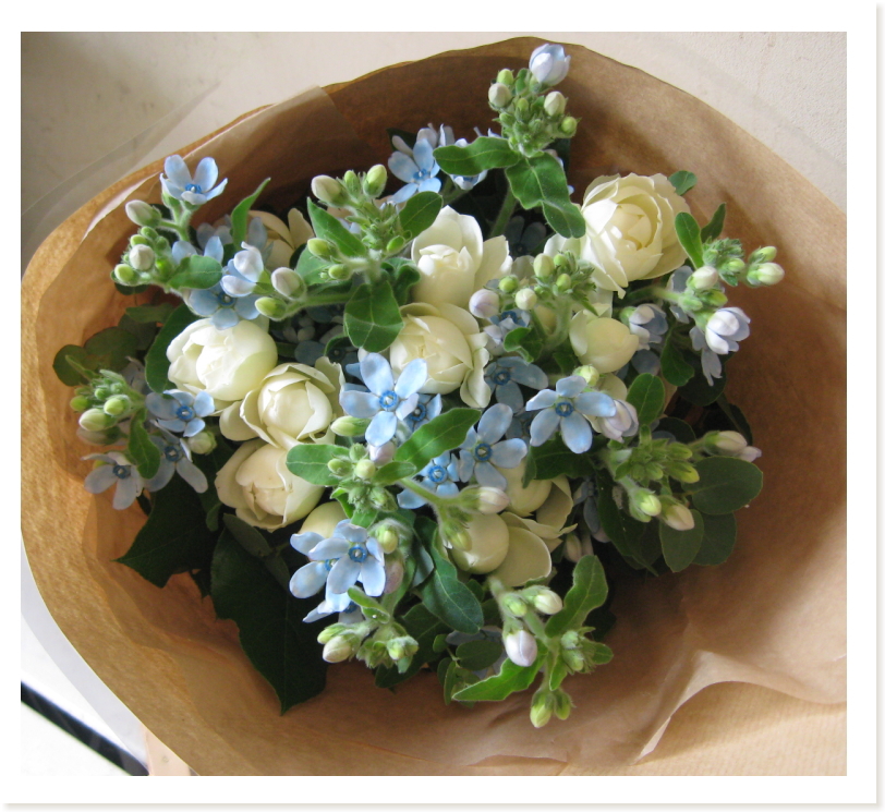 淡いブルー色のお花 オキシペタルム ブルースター を使った花束です ご結婚の