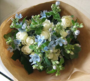 u[PEsAu[yĂ̓N[㍞ a \ j oYj j  w ސEj Vz JX  LO j 䋟 ̓ hV̓ ybĝ EFfBO  T