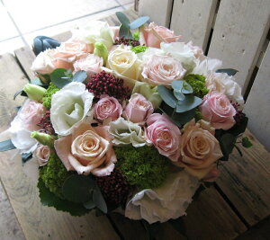 AWE~XJfyĂ̓N[㍞ a \ j oYj j  w ސEj Vz JX  LO j 䋟 ̓ hV̓z