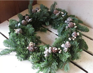 NX}XtbV[XiNaturaljy30cm [X tbV ~ [X I[ig NX}X[X ؂̎ Rf i` nhCh   O VbN X fBXv