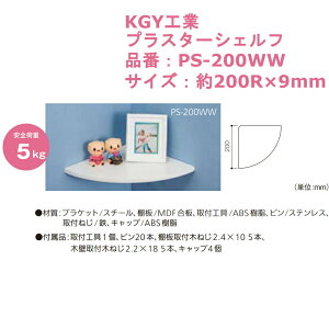 I CeA ǖ [  fBXvC  u  KGYH vX^[VFt iԁFPS-200WW TCYF200R×9mm