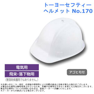 dC   H ЊQ h g[[ZteB[ wbg iԁFNo.170