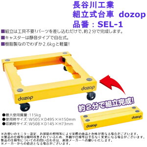 y  Hsv  É RpNg ^ JH g dozop iԁFSEL-1