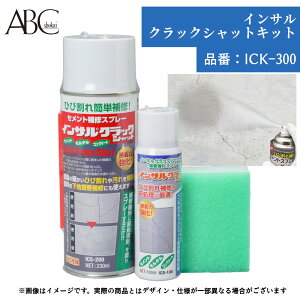 G[r[V[ NbNVbgLbg iԁFICK-300 RN[g Xv[ Ђъ ڗȂ Zg C ڂ