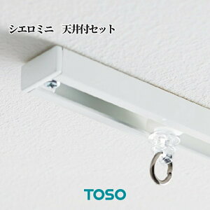 J[e[ RpNg    DIY t TOSO VG~j VtZbg TCY2m S2F