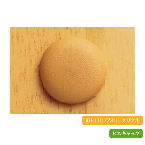 }cZ rXLbv BH-11CiZ84jNAp 肷 t  n ⋭ ]|\h pi 萠 ˂ Jo[ B