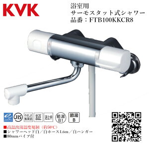 KVK p T[X^bgV[(oxK) iԁF FTB100KKCR8 yʒndl    tz