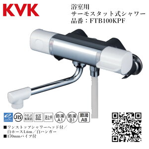 KVK p T[X^bgV[(XgbvV[wbht) iԁF FTB100KPFyʒndl    tz